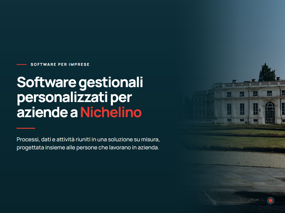 Software gestionali personalizzati per aziende a Nichelino Presentazione di software gestionali personalizzati per aziende di Nichelino