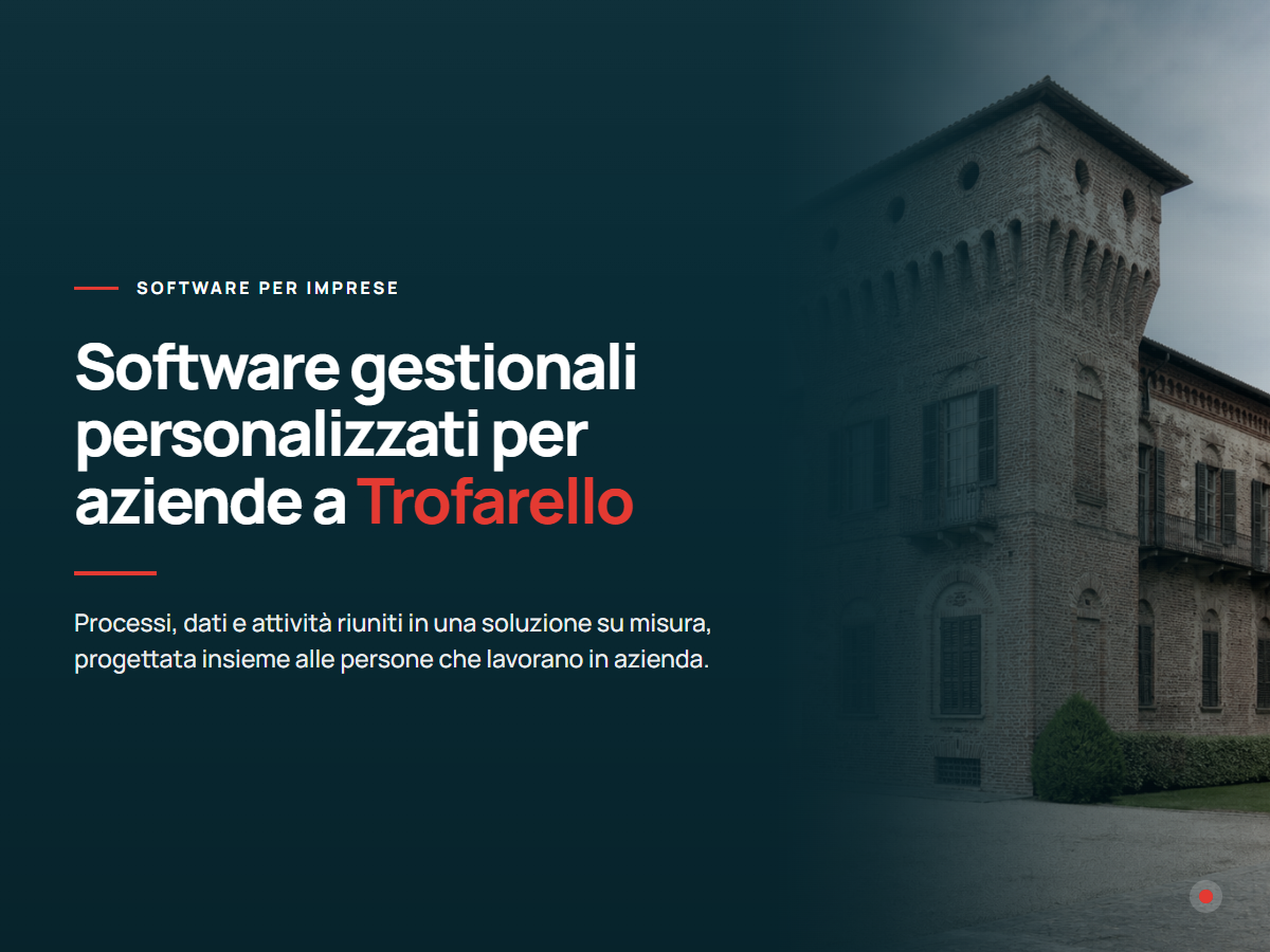 Software gestionali personalizzati per aziende a Trofarello Presentazione di software gestionali personalizzati per aziende di Trofarello